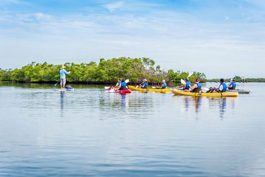 Marco Island: Kayak Mangrove Ecotour in Rookery Bay Reserve - Practical details for a smoother outing