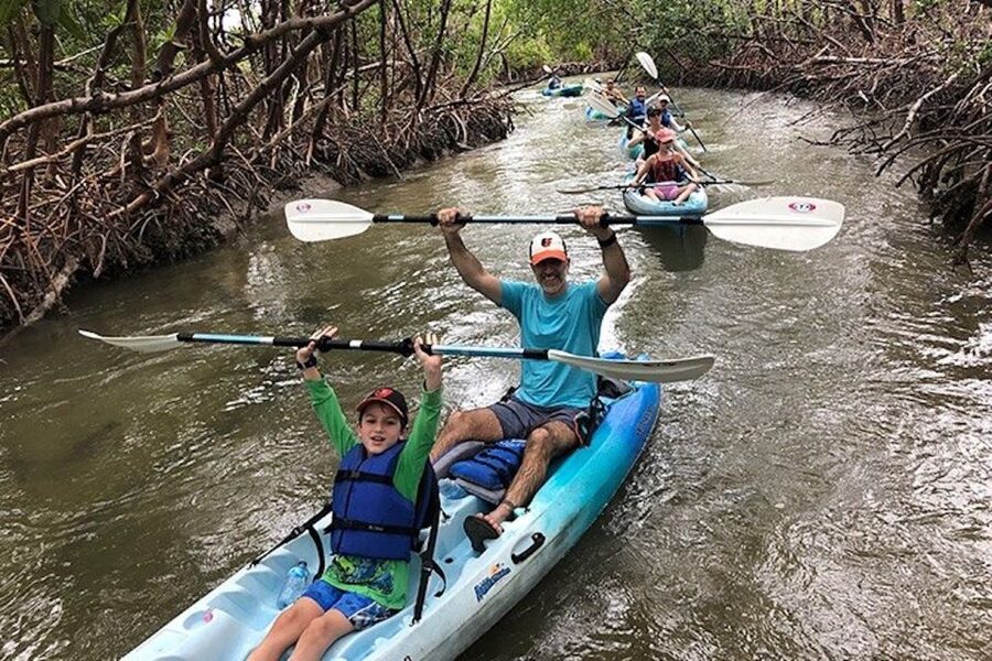 Marco Island: Kayak Mangrove Ecotour in Rookery Bay Reserve - Why a kayak is the right way to see Rookery Bay