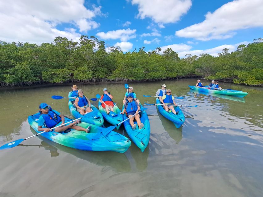 Marco Island: Kayak Mangrove Ecotour in Rookery Bay Reserve - Is two hours enough for the $85 price?