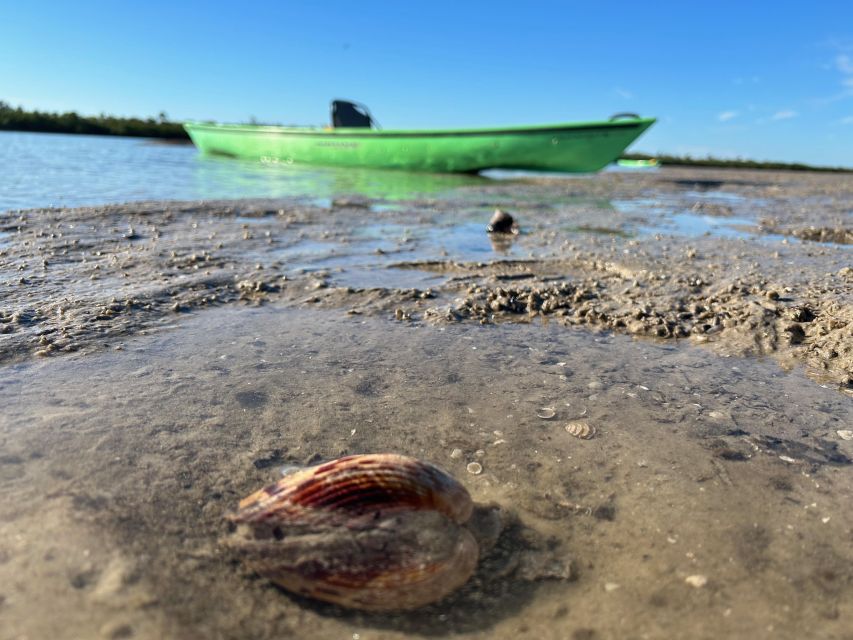 Marco Island: Mangrove Maze Kayak Tour (2hrs) - Timing, weather, and practical preparation