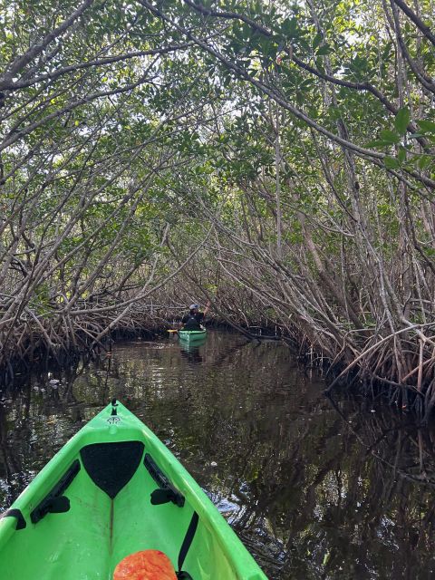 Marco Island: Mangrove Maze Kayak Tour (2hrs) - Meeting the guide at the blue van