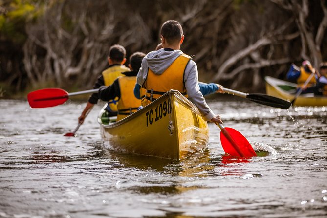 Margaret River Canoe Tour Including Australian Wild Food Lunch - Key points to know before booking
