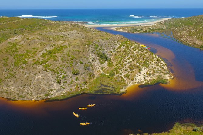 Margaret River Canoe Tour Including Australian Wild Food Lunch - How much value do you get for $100.41?