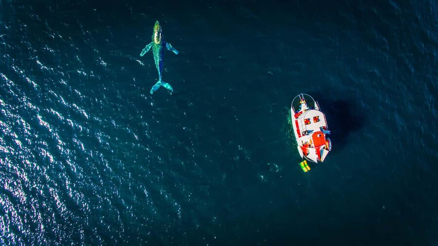 Marietas Islands Boat Tour: Snorkel, Kayak, Playa Nopalera - Reaching Playa La Nopalera by water