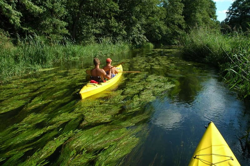 Masurian Lake District: Canoe and Sailing Tour from Warsaw - Mikołajki, marinas, and a short town visit
