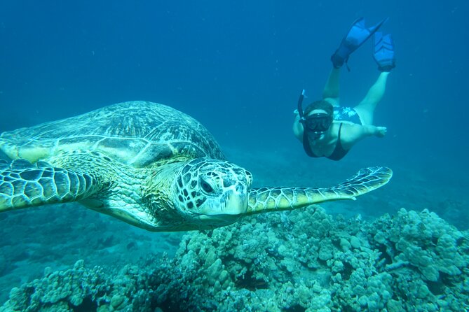 Maui Clear Kayak and Snorkel Tour: Swim with turtles (Makena) - The guides are the real support system