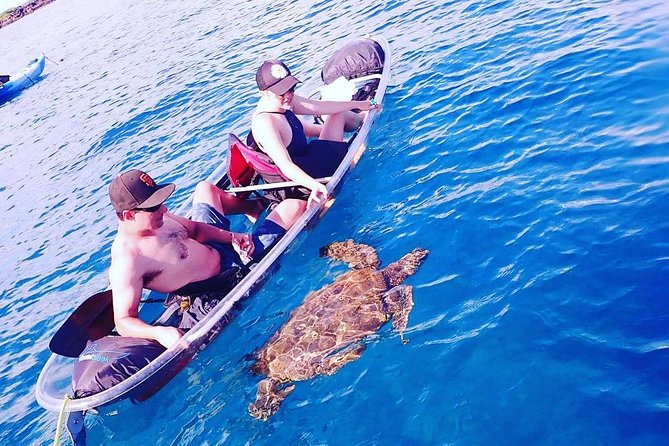 Maui Clear Kayak and Snorkel Tour: Swim with turtles (Makena) - Is the $130 price worth it?