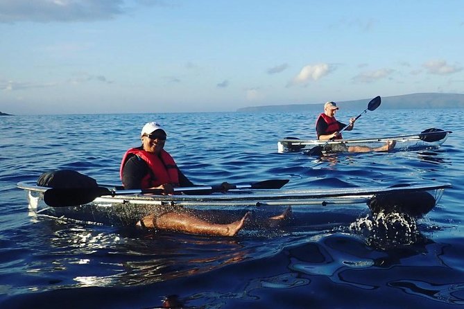 Maui Clear Kayak and Snorkel Tour: Swim with turtles (Makena) - Practical details before you reserve