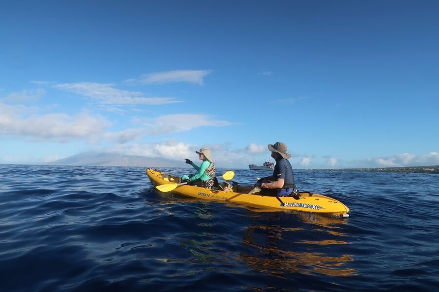 Maui: Turtle Town Kayak and Snorkel Tour - Why Turtle Town works so well for a first Maui ocean trip