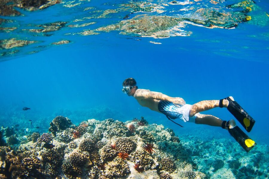 Maui: Turtle Town Kayak and Snorkel Tour - Launching at Makena Landing Park