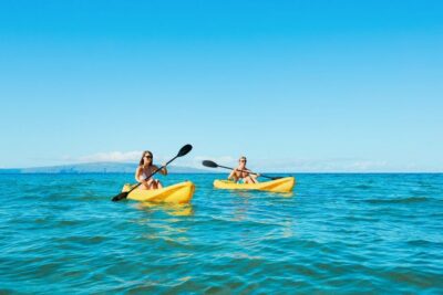 Turtle Town Kayak and Snorkel Tour
