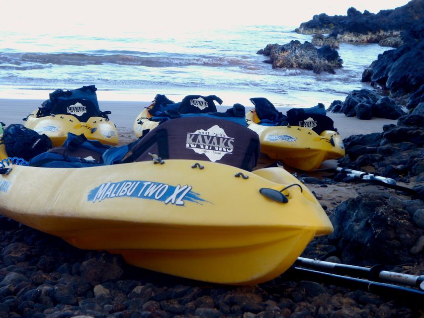 Maui: Turtle Town Kayak and Snorkel Tour - What the $120 price covers