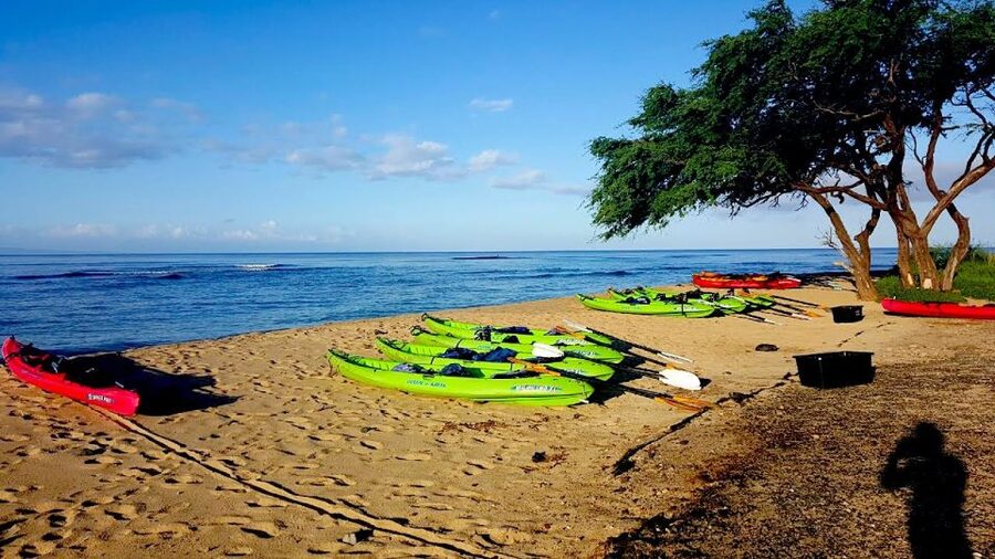 Maui: West Side Discovery Kayak & Snorkel from UKUMEHAME - The first 20 minutes: safety, wildlife, and getting comfortable