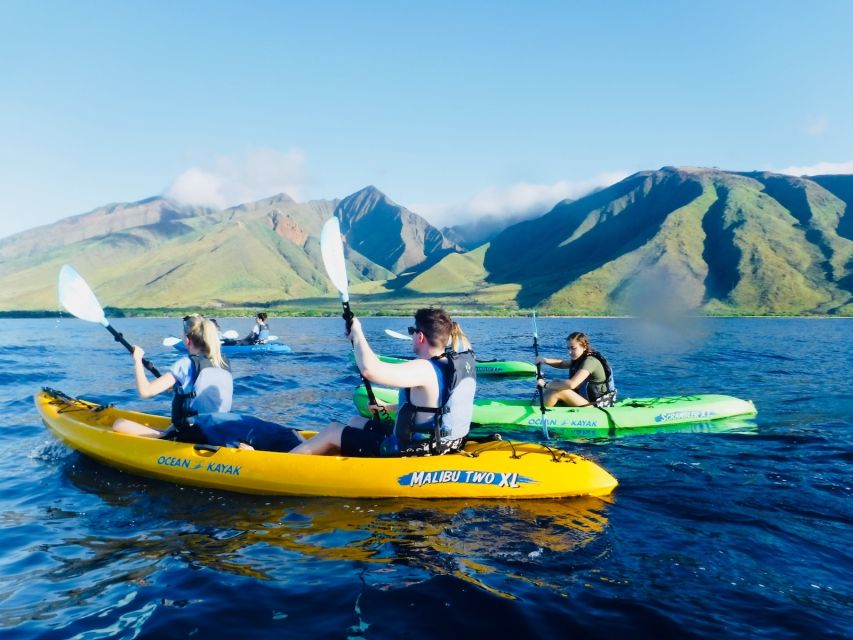 Maui: West Side Discovery Kayak & Snorkel from UKUMEHAME - The value of $120 per person