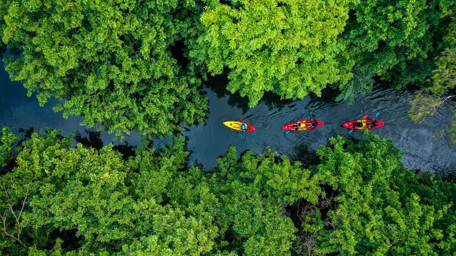 Mauritius: Guided Kayak Tour on Tamarin River - Key points before you book
