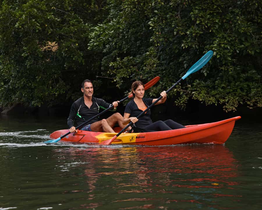 Mauritius: Guided Kayak Tour on Tamarin River - Mangroves, monkeys, and luck on the riverbanks