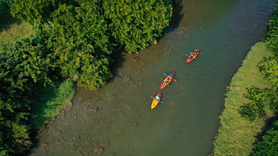 Mauritius: Guided Kayak Tour on Tamarin River - Who should book this Tamarin River outing?