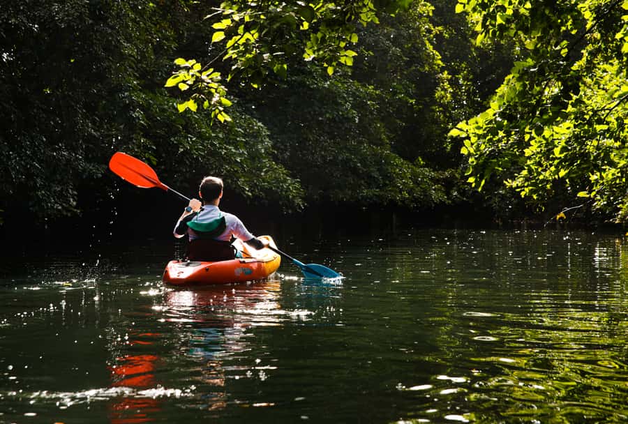 Mauritius: Guided Kayak Tour on Tamarin River - Paddling beneath Rempart and Trois Mamelles