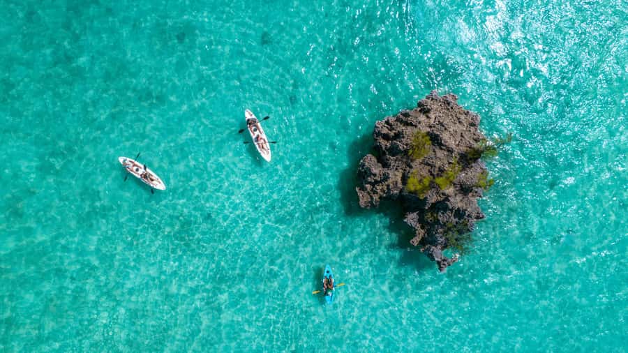 Mauritius: Guided Kayak tour to Benitiers Island - Benitiers Island from the water