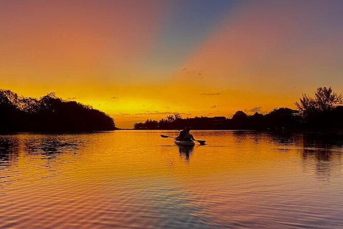 Mauritius: Guided Sunrise Kayak Tour on the Tamarin River - Learning the basics before heading upriver
