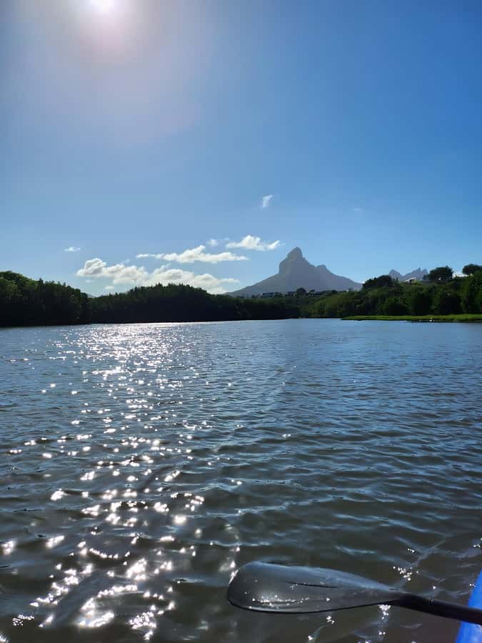 Mauritius: River Guided Kayak Tour with Monkeys - Quiet water and wild monkeys on the Rempart River