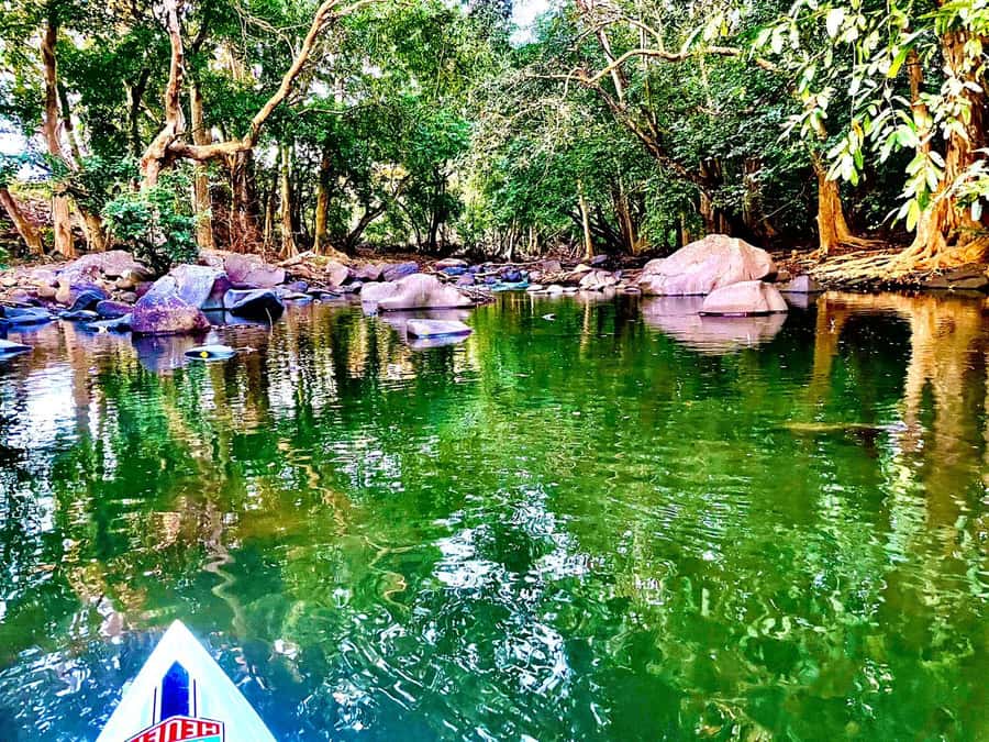 Mauritius: River Guided Kayak Tour with Monkeys - Extra touches beyond the paddle