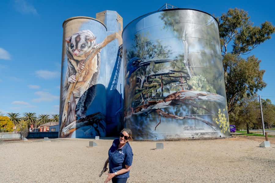 Melbourne: Murray River Paddle Steamer, Wildlife & Silo Art - Rochester’s silo art and local stories