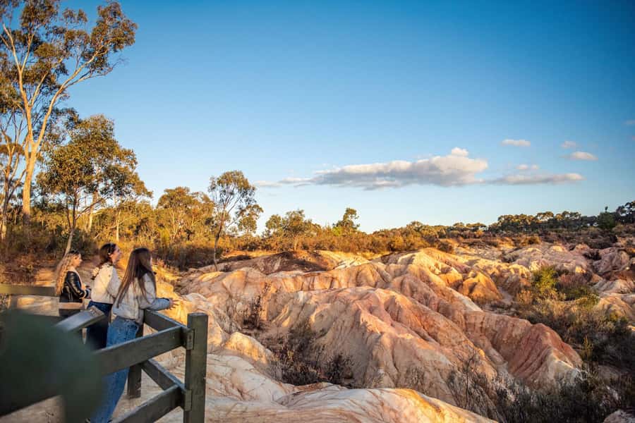 Melbourne: Murray River Paddle Steamer, Wildlife & Silo Art - The Pink Cliffs Reserve
