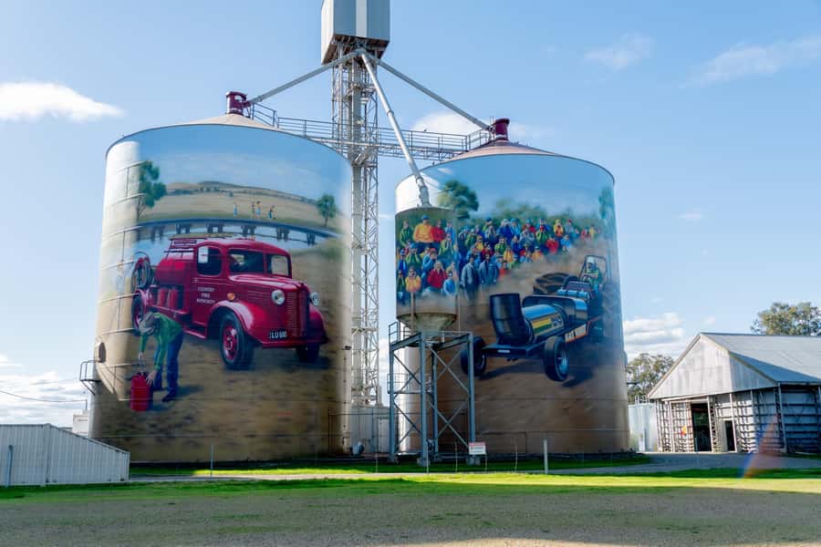 Melbourne: Murray River Paddle Steamer, Wildlife & Silo Art - Is $119 good value?