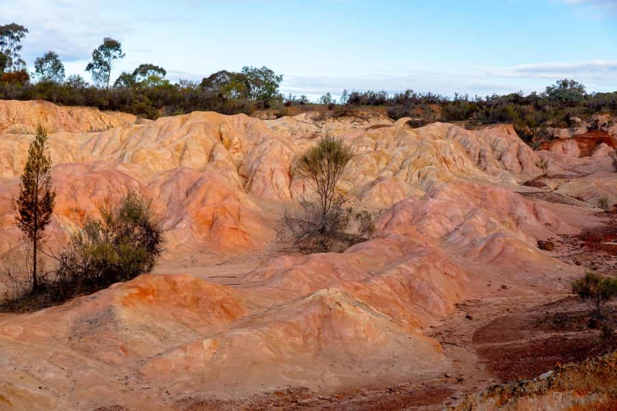 Melbourne: Murray River Paddle Steamer, Wildlife & Silo Art - Should you book it?