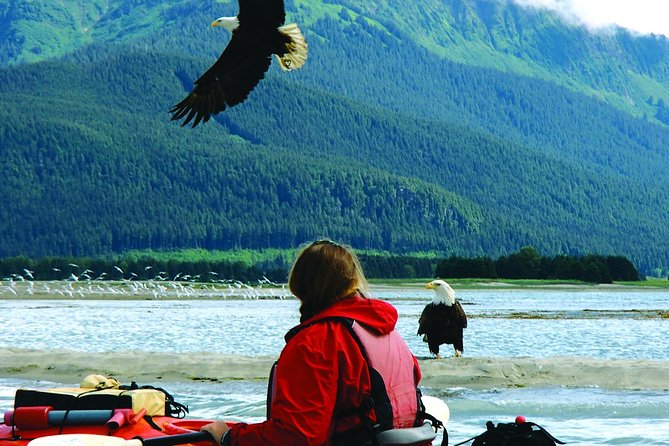 Mendenhall Glacier View Sea Kayaking - Snacks, hot cider, and the ride back