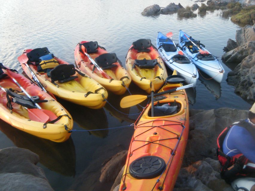 Menorca: Half-Day Kayak Excursion in Fornells - Key things to know before you book