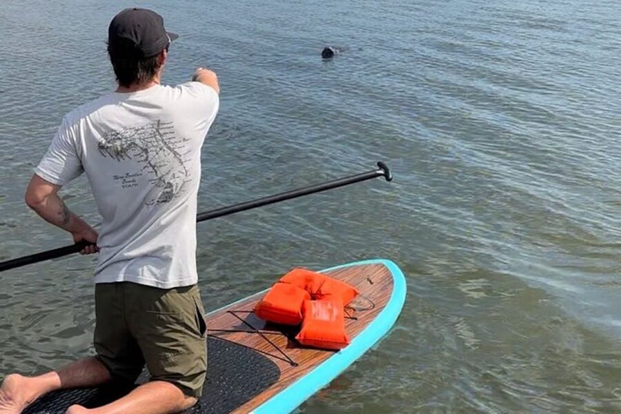 Merritt Island: Manatee Watching Paddle or Kayak Tour - Starting beneath the yellow flag
