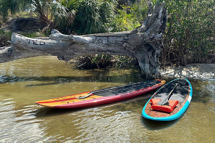 Merritt Island: Manatee Watching Paddle or Kayak Tour - Wildlife you may see along the way