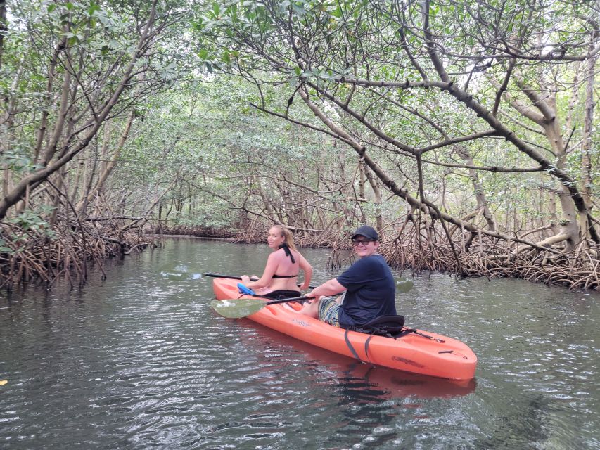 Miami: Beginner-Friendly Island Snorkeling by SUP or Kayak - What makes this Miami water adventure worth considering