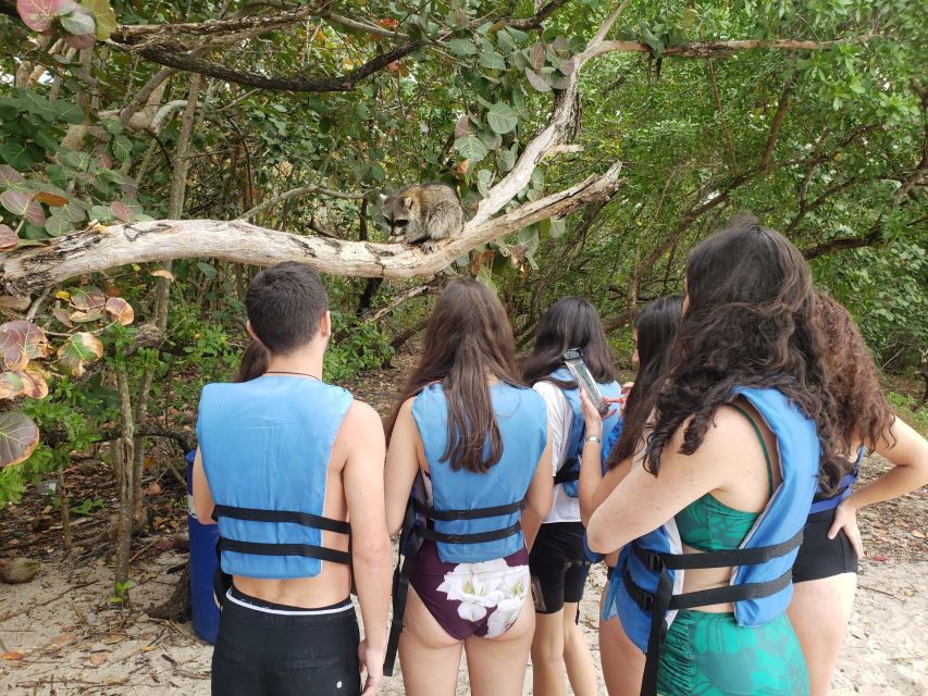 Miami: Beginner-Friendly Island Snorkeling by SUP or Kayak - Paddling through the mangrove jungle