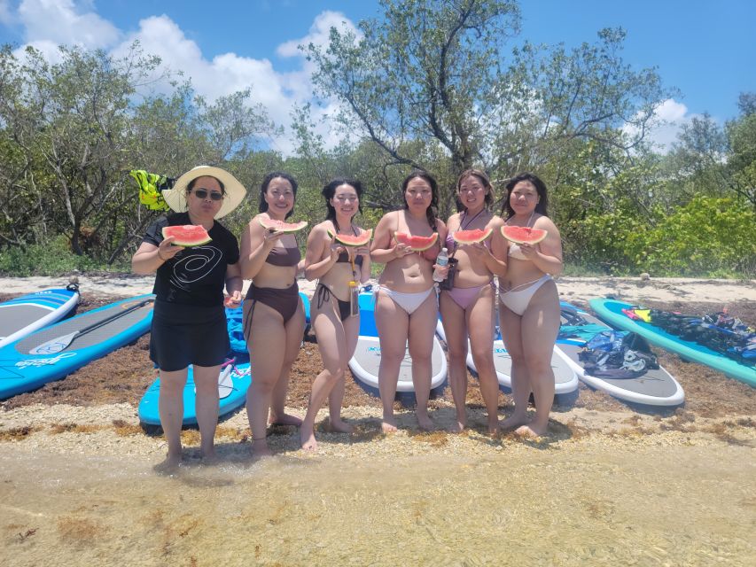Miami: Beginner-Friendly Island Snorkeling by SUP or Kayak - Raccoons, iguanas, and the wildlife pauses