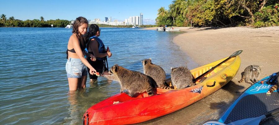 Miami: Beginner-Friendly Island Snorkeling by SUP or Kayak - Fruit, cold drinks, and a welcome pause