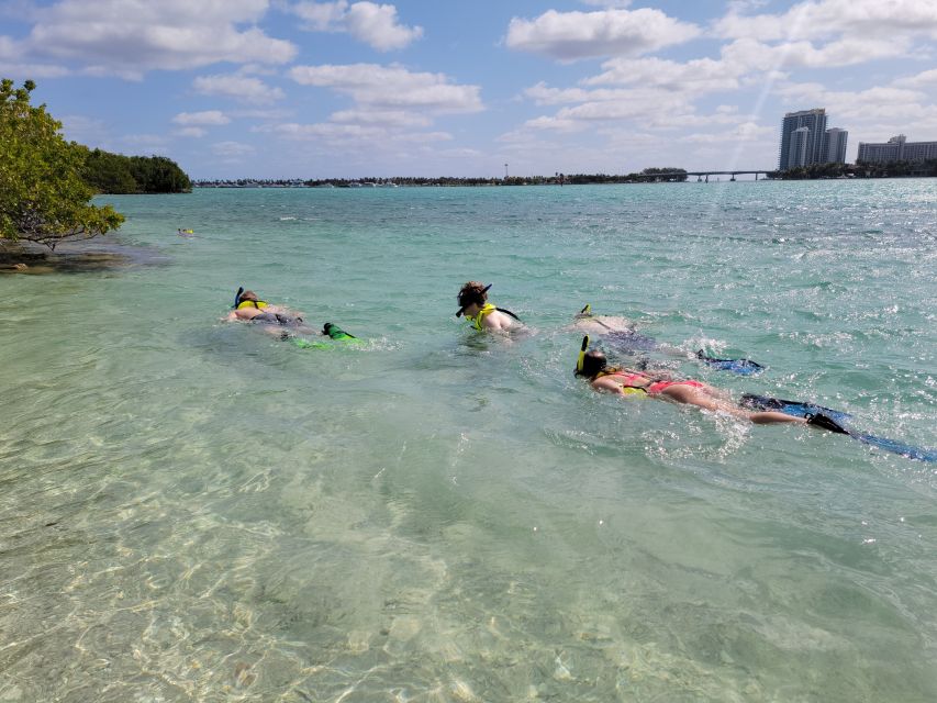 Miami: Beginner-Friendly Island Snorkeling by SUP or Kayak - How the $99 price measures up