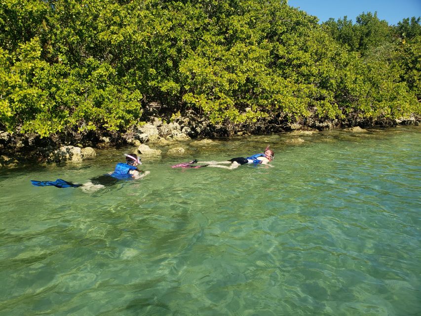 Miami: Beginner-Friendly Island Snorkeling by SUP or Kayak - Learning to paddle before the wildlife search