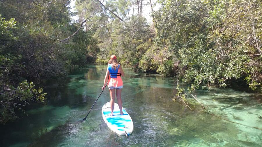 Miami: Biscayne Bay Ultimate Boat Tour with Kayak Experience - Starting at Venetian Marina near Downtown Miami