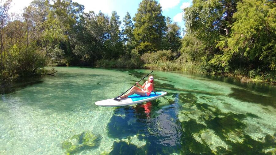 Miami: Biscayne Bay Ultimate Boat Tour with Kayak Experience - Paddling into the mangrove tunnels at Sandspur Island