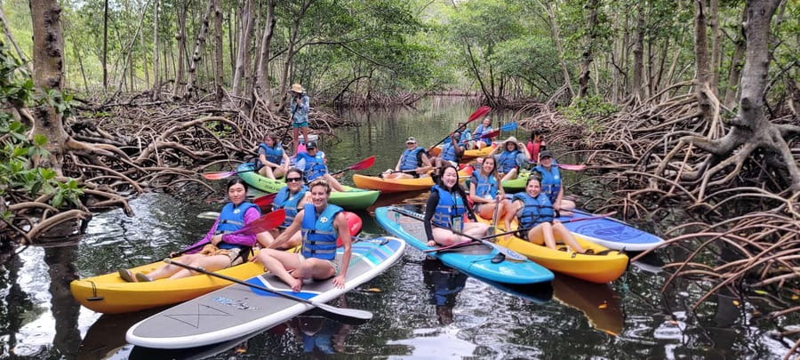 Miami: Biscayne Bay Ultimate Boat Tour with Kayak Experience - Is $99 a fair price?