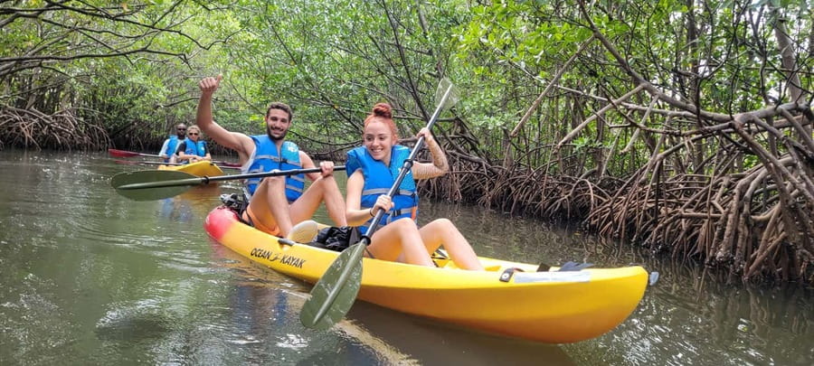 Miami: Biscayne Bay Ultimate Boat Tour with Kayak Experience - Looking for dolphins and manatees in open water