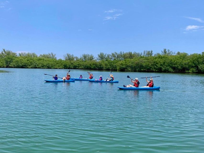 Miami: Manatee Season Paddleboard or Kayak Tour - Key details at a glance