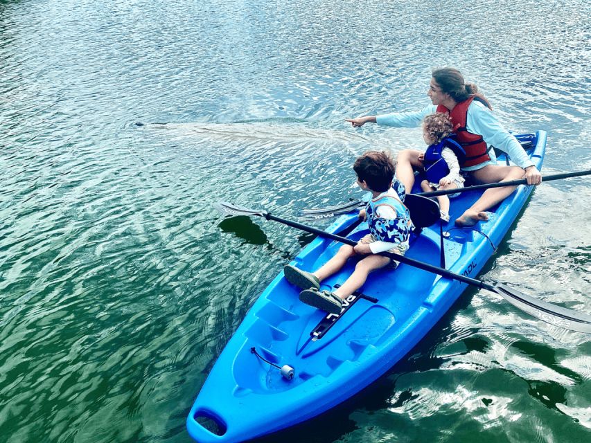 Miami: Manatee Season Paddleboard or Kayak Tour - Lamar Lake is the best place to look for manatees
