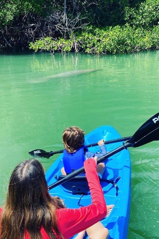 Miami: Manatee Season Paddleboard or Kayak Tour - Biscayne Bay adds city views and open water
