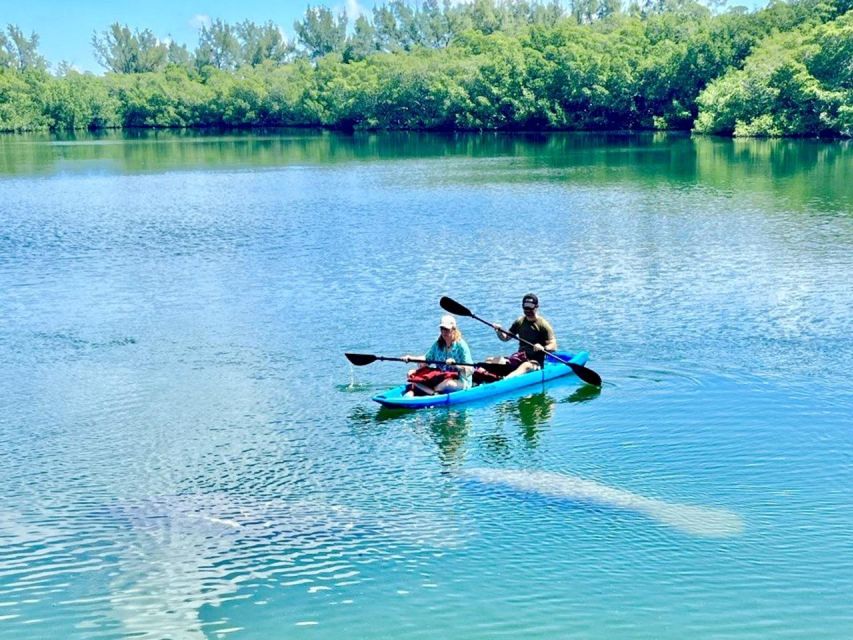 Miami: Manatee Season Paddleboard or Kayak Tour - Small-group guiding adds real value