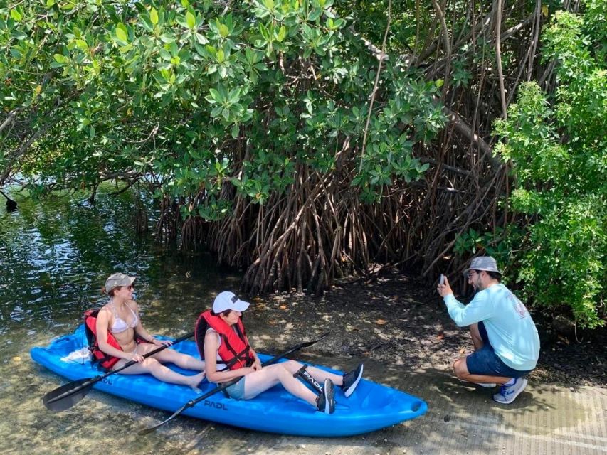 Miami: Manatee Season Paddleboard or Kayak Tour - Is two hours enough for $85?