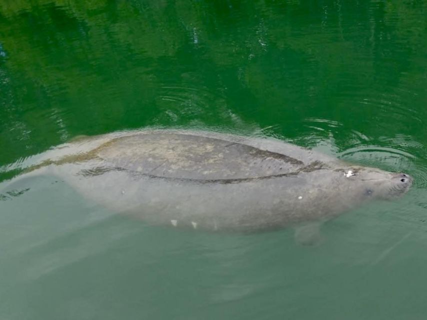 Miami: Manatee Season Paddleboard or Kayak Tour - The safety briefing sets the tone